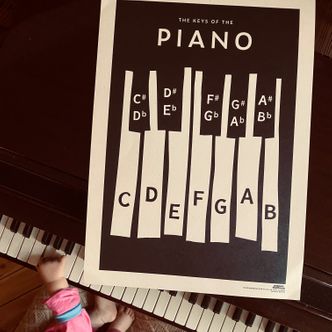 The Keys Of The Piano